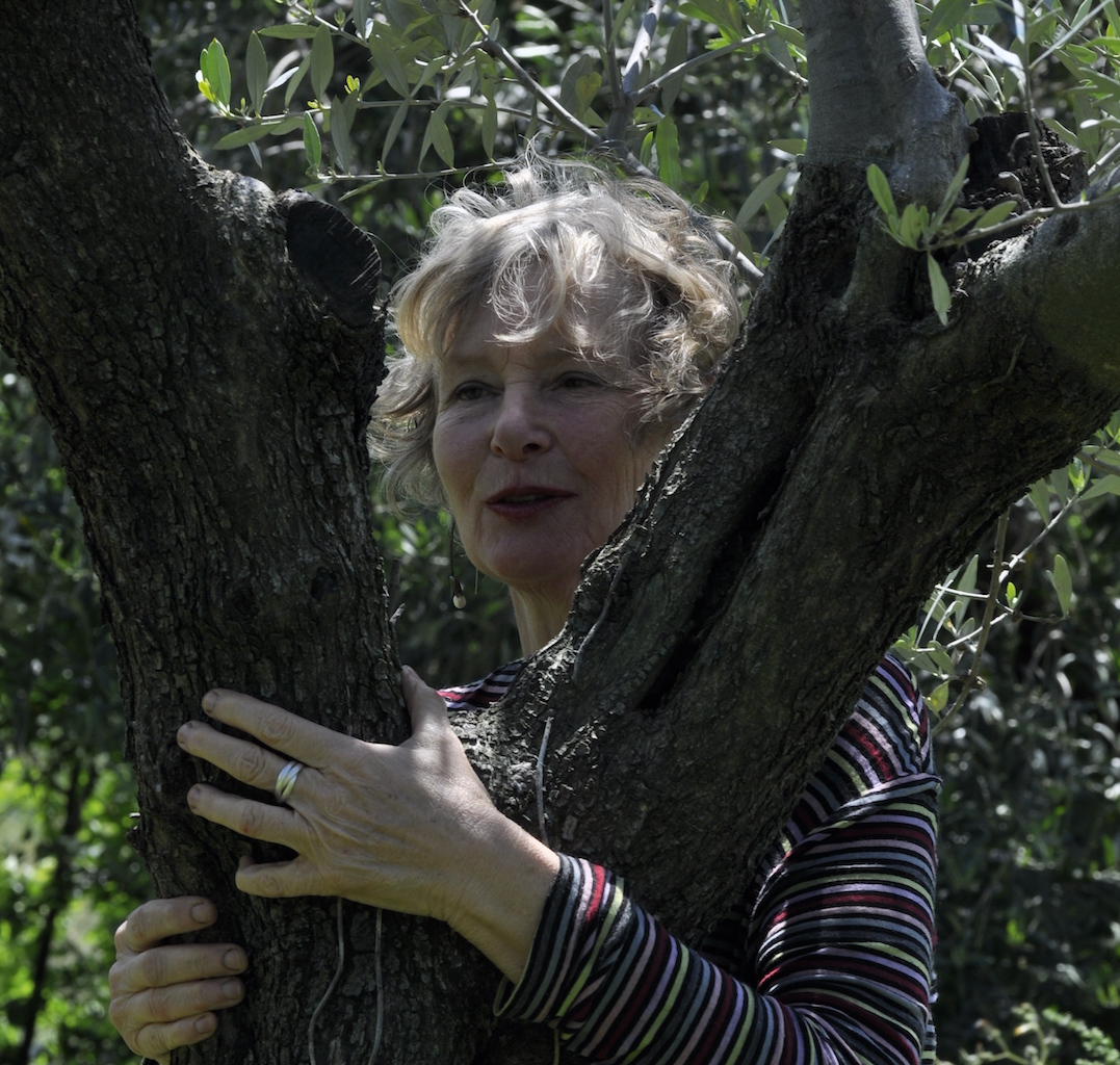olive-marina marina zwischen den Oliven